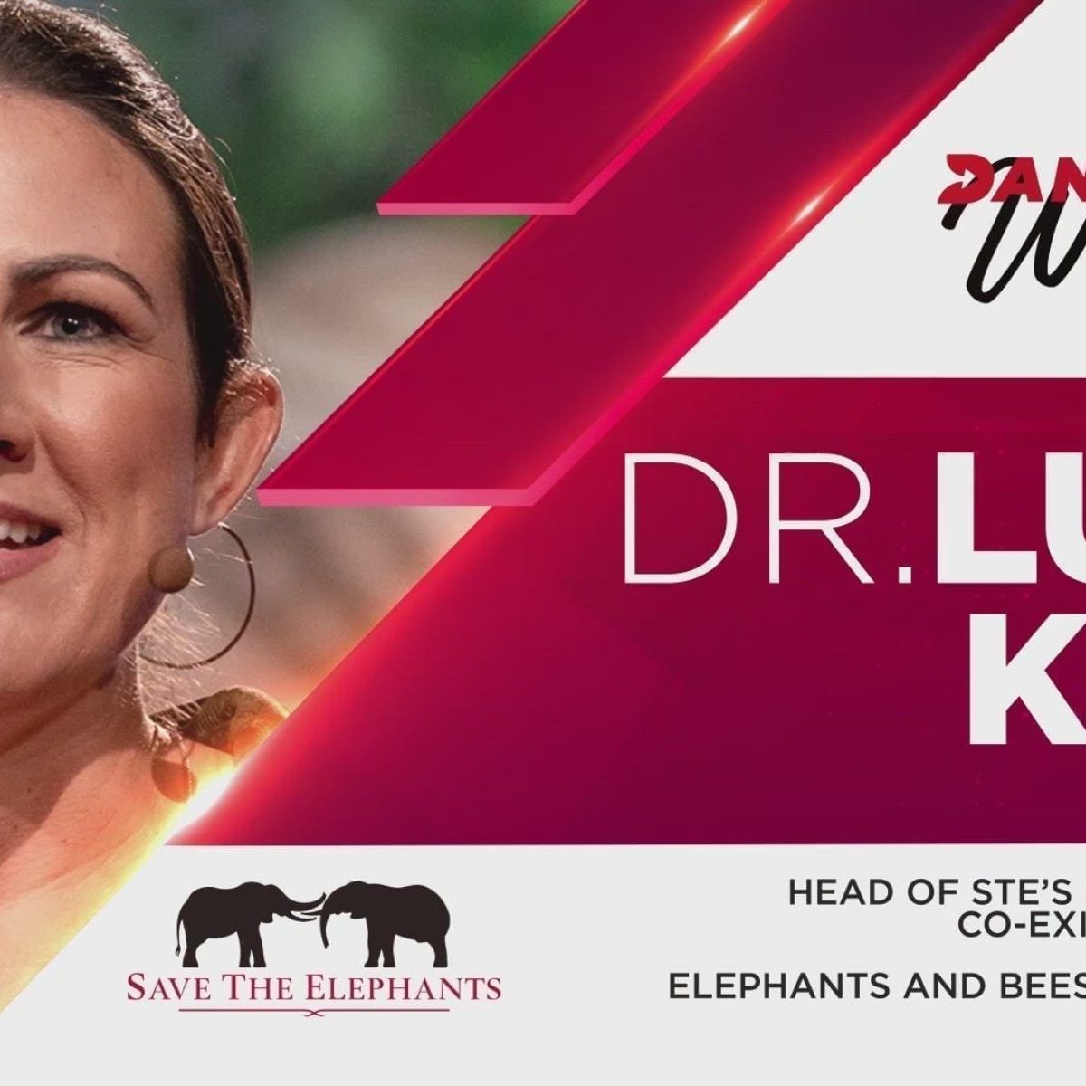 Dr. Lucy King, Elephants and Bees