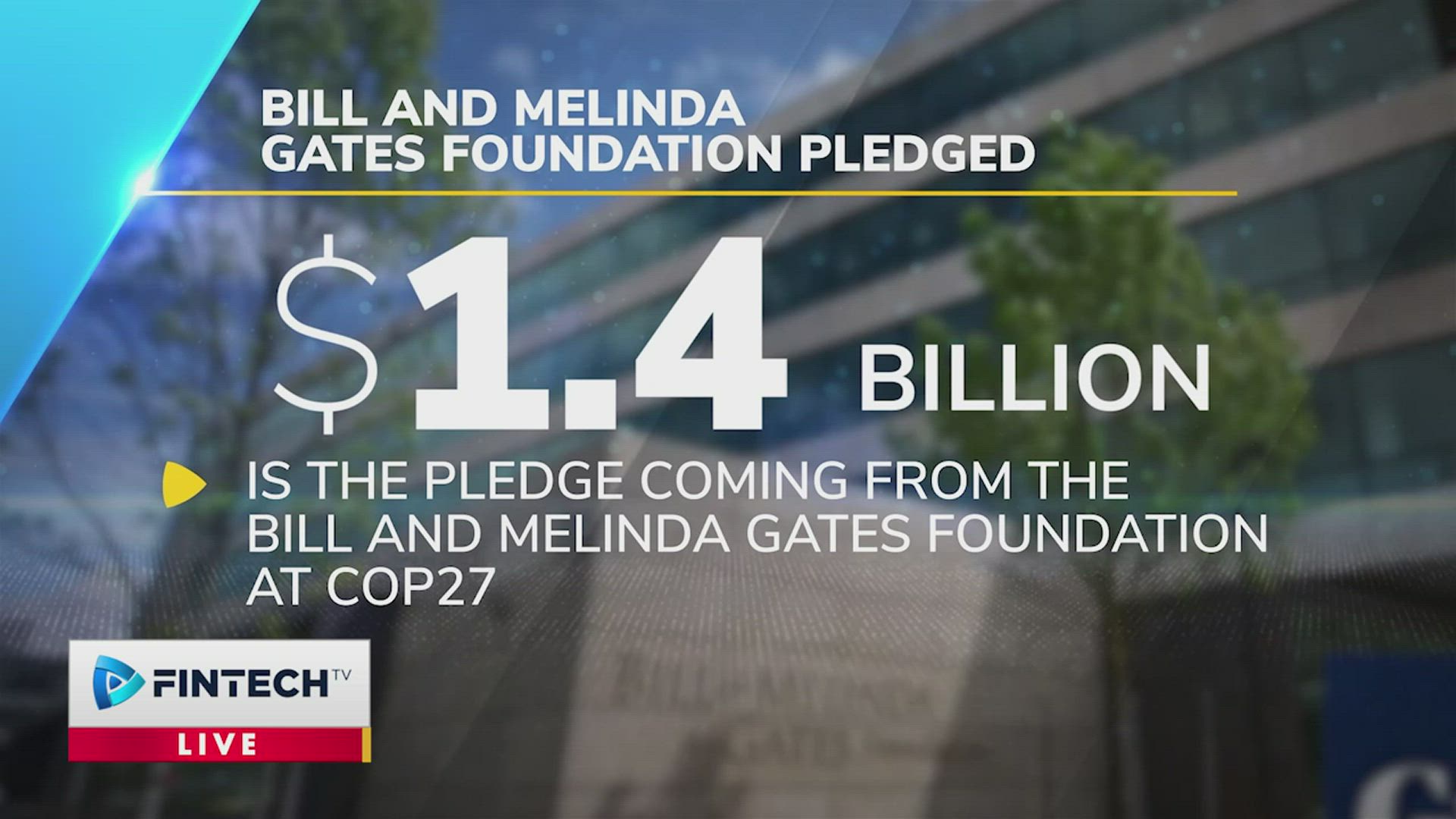 Bill And Melinda Gates Foundation Pledged