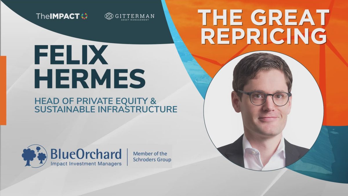 Felix Hermes on the Importance of Climate Adaptation in Investment  Management