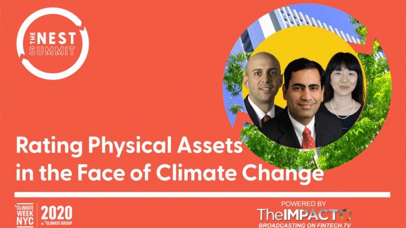 Rating Physical Assets in the Face of Climate Change