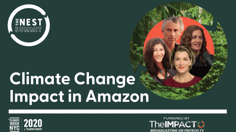 Climate Change Impact in Amazon