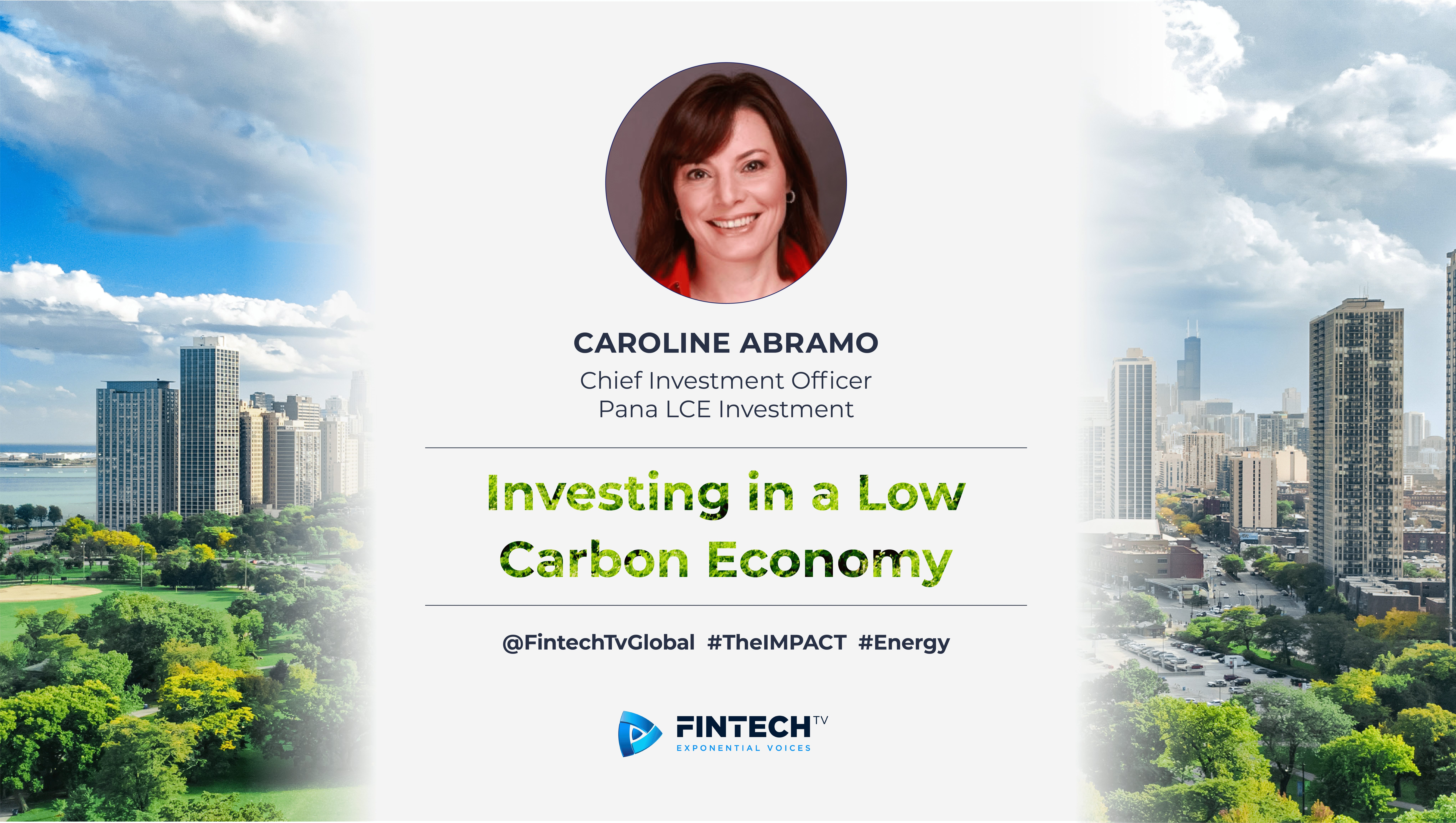 Investing in a Low Carbon Economy